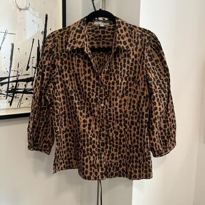 Foxcroft Brown and Black Button Down Shirt